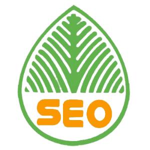 定陶提升网站移动适配的注意事项