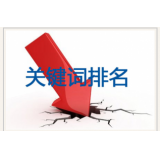 定陶网站关键词排名下降原因有哪些